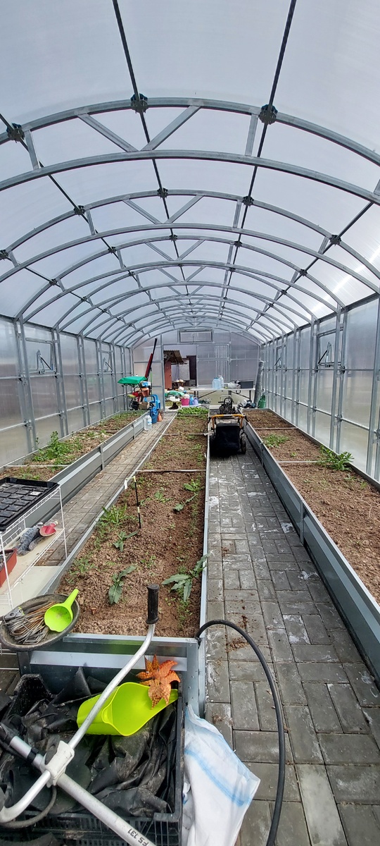 Большая теплица, вид изнутри.