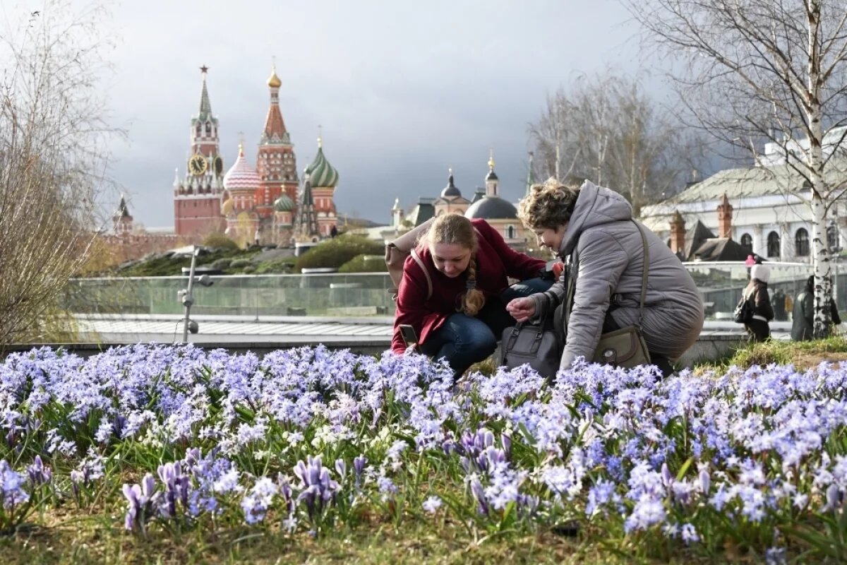    Теплая погода ждет на этой неделе москвичей.