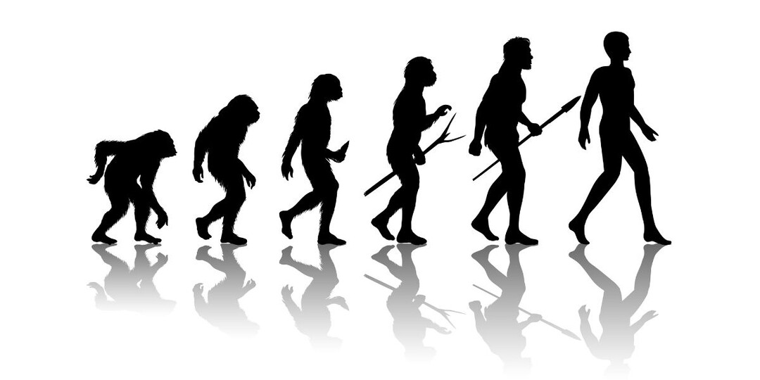 Кто Я? Происхождение человека: теория эволюции Дарвина