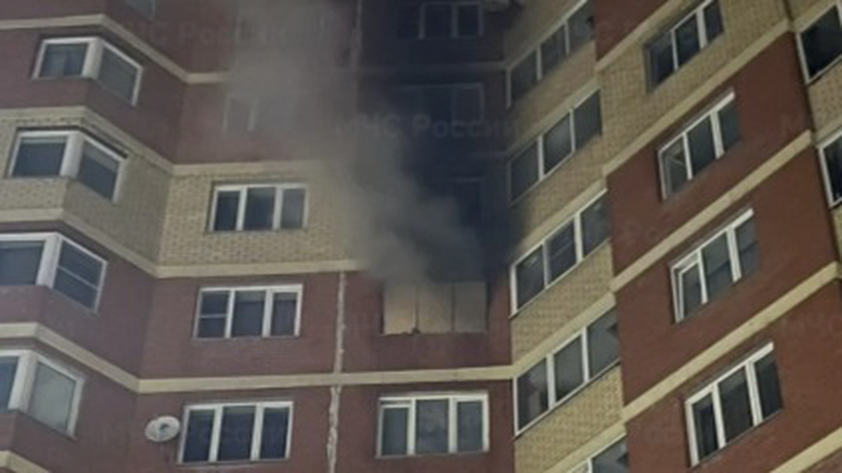    Фото: ГУ МЧС России по Московской области