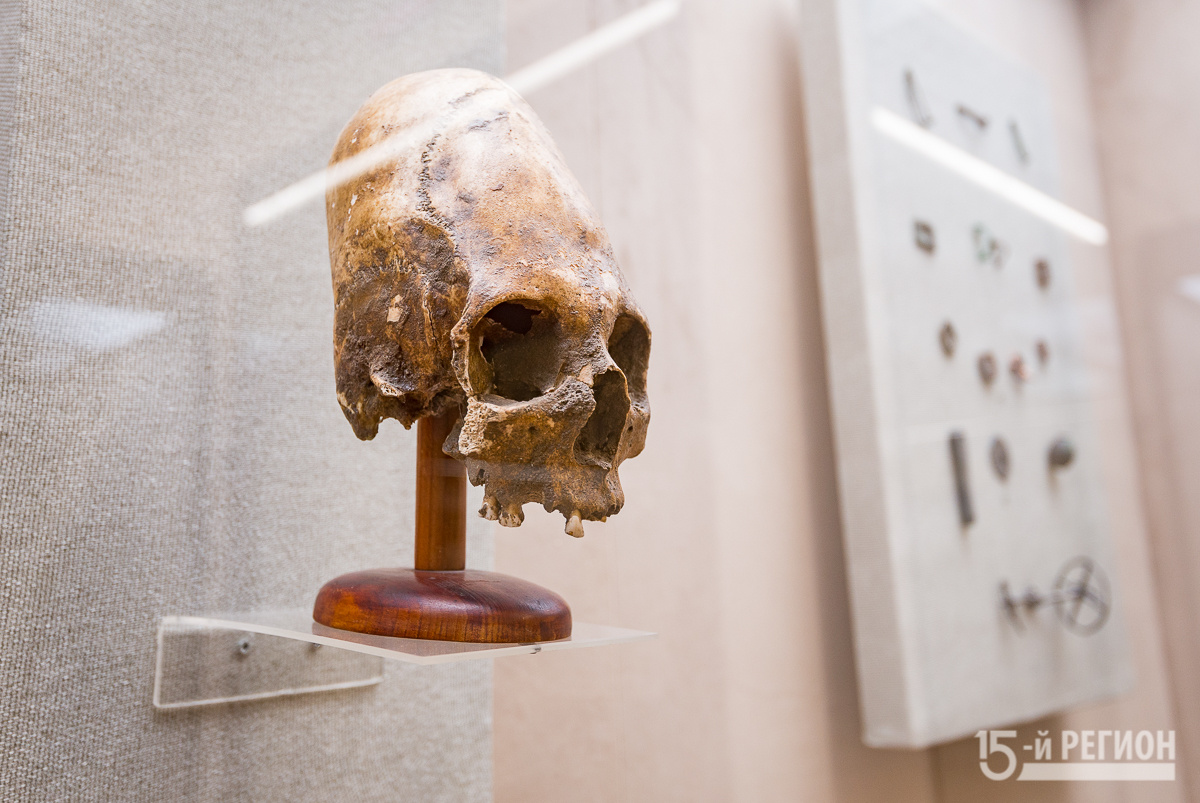 Искусственно вытянутый череп. Экспонат Национального музея Северной Осетии. Фото: Константин 15-Фарниев
