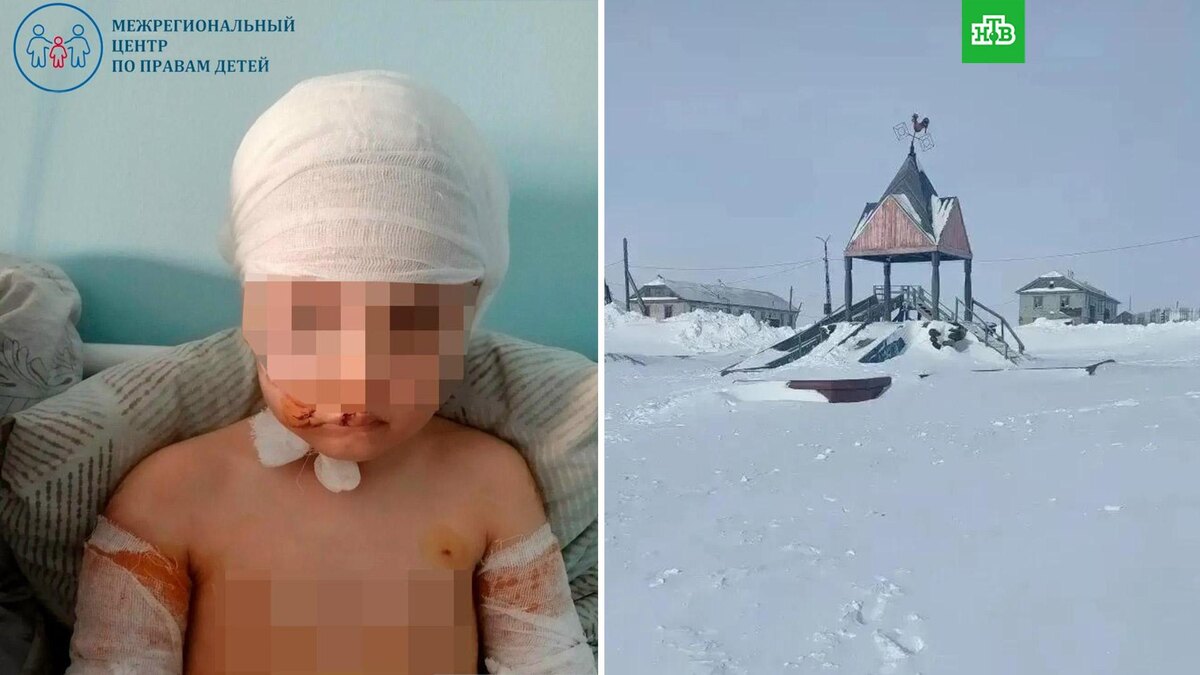    Фото: Межрегиональный центр по правам детей, СК РФ