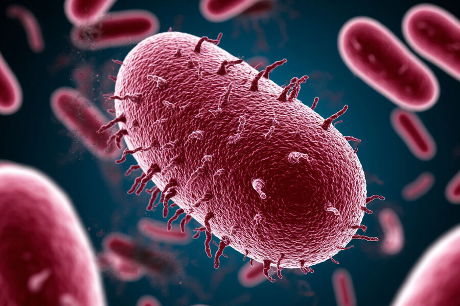    Фото: коллаж RuNews24.ru