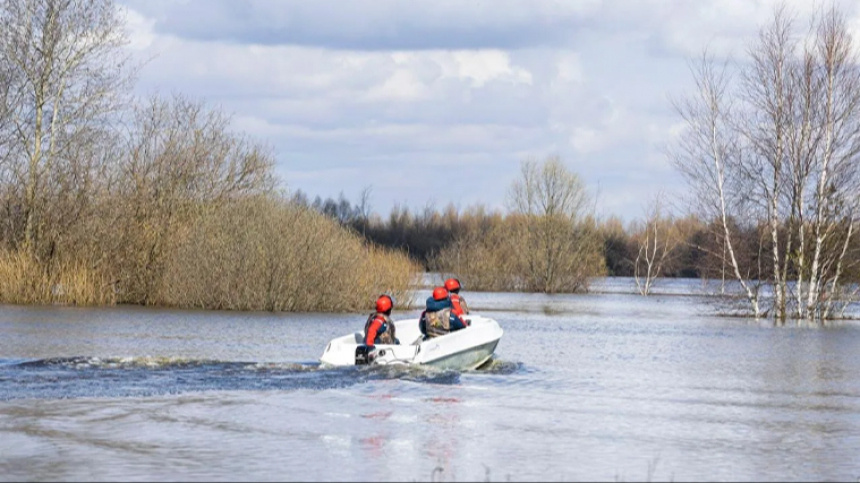    Фото: ПАО "Россети"
