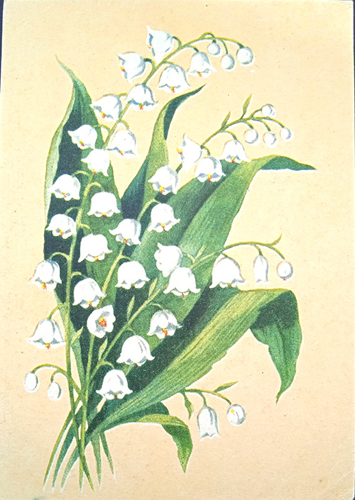 1962 г. Худ. Зеленов