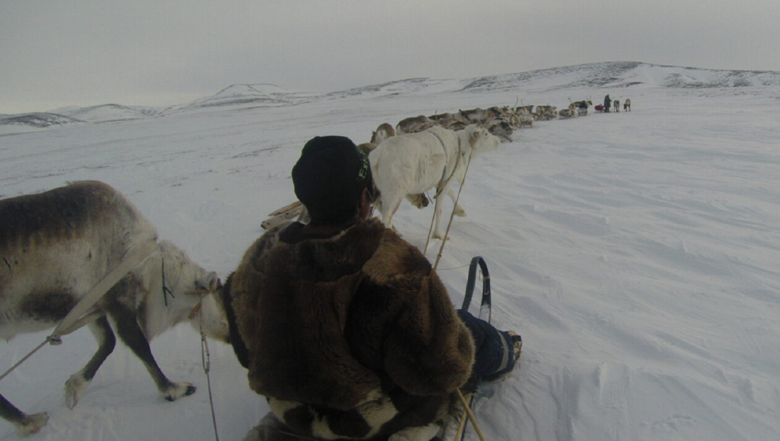 Источник: arcticmobility.kunstkamera.ru