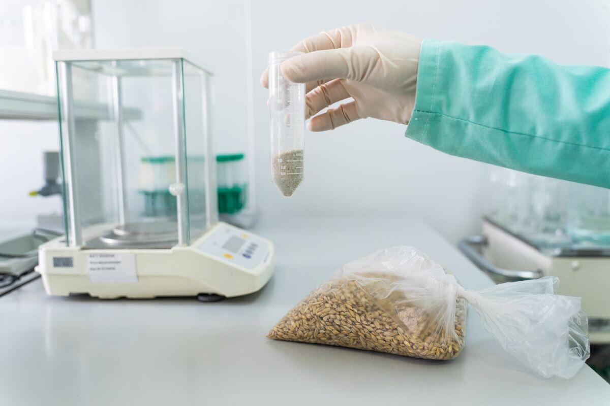 Фото: Александр Плонский / «Агроэксперт»