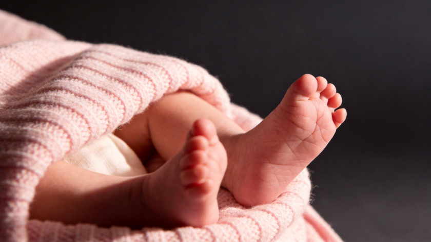    CHROMORANGE / A. Shalamov/Global Look Press 📷