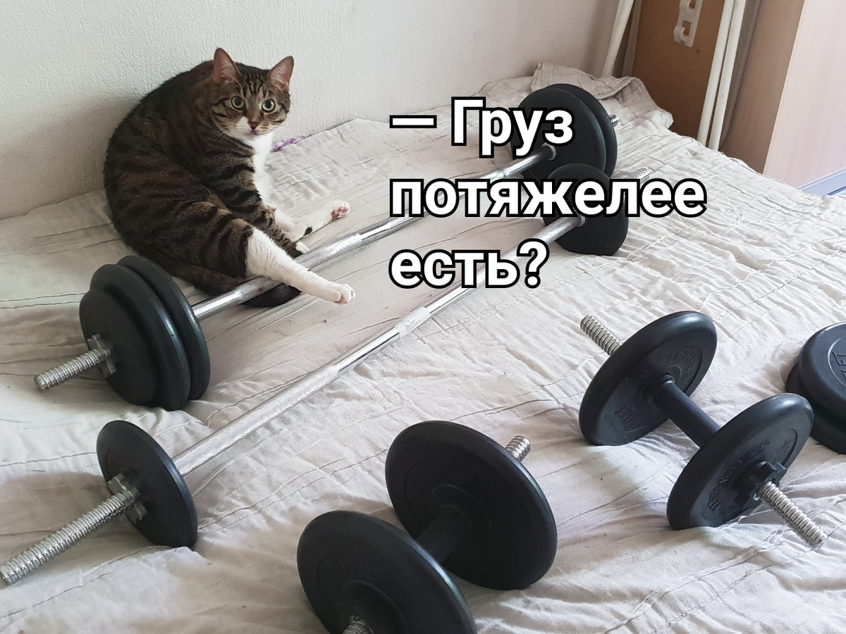 Тяжелоатлет, который живет в каждом миллениале