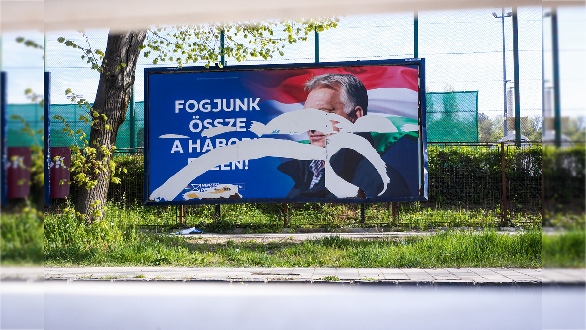 Фото: Neil Milton/globallookpress.com