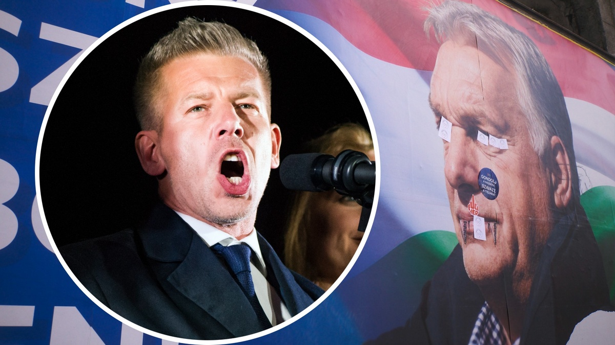 Фото: Attila Husejnow/Neil Milton/globallookpress.com