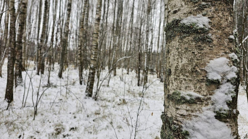    Фото: Минэкологии МО