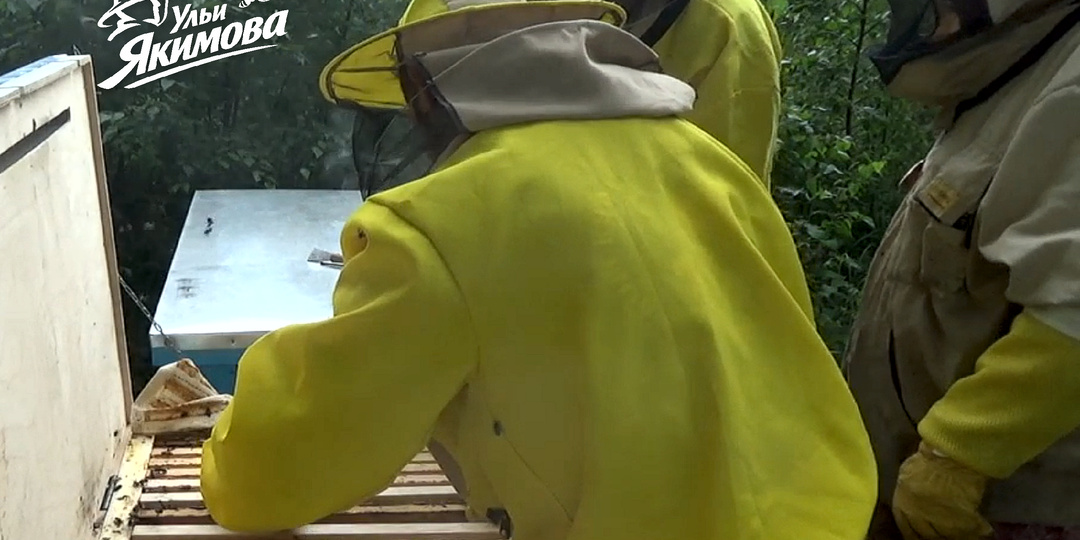 Сопровождение вашей пасеки. Методика Якимова — три медосбора за сезон от зимовалой семьи в 2026 году