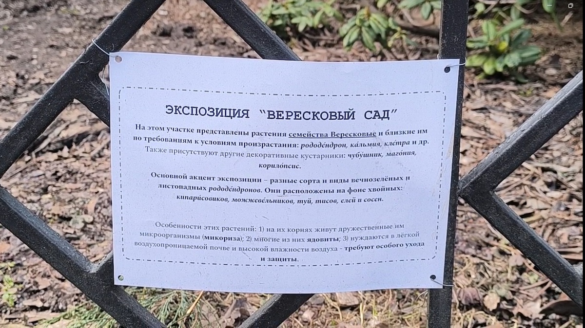 Фото из личного архива