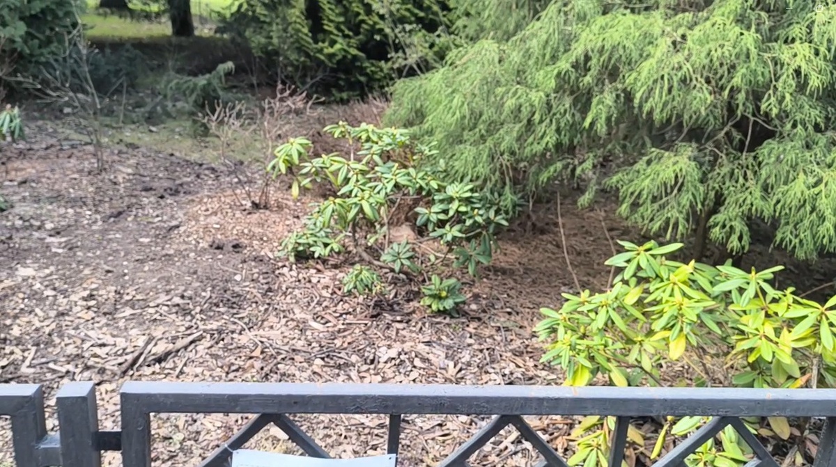 Фото из личного архива