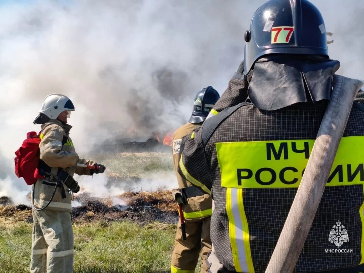    Фото: МЧС Ростовской области