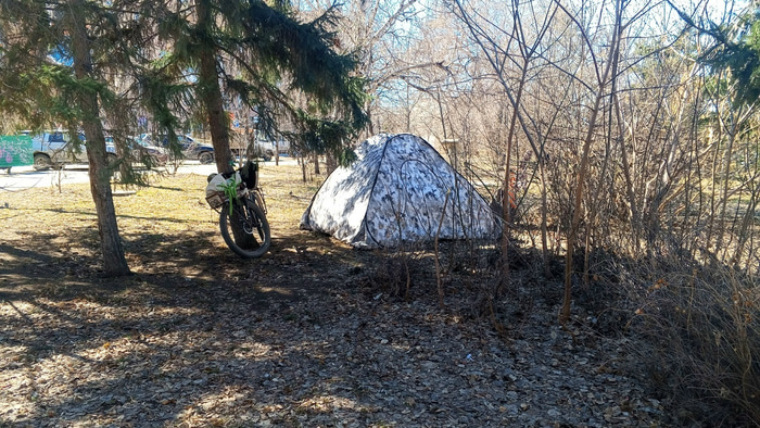    Фото: omskinform.ru