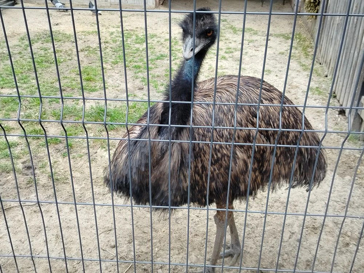     Фото из личного архива автора