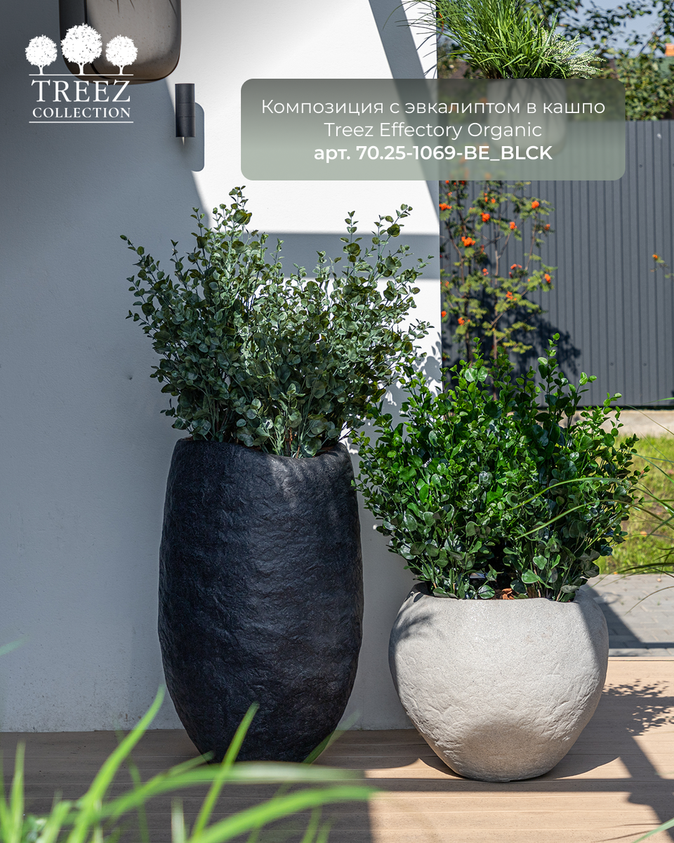 Кашпо и растения TREEZ Collection