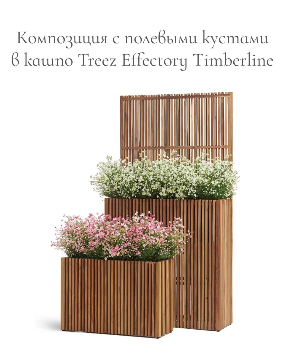 Кашпо и растения TREEZ Collection