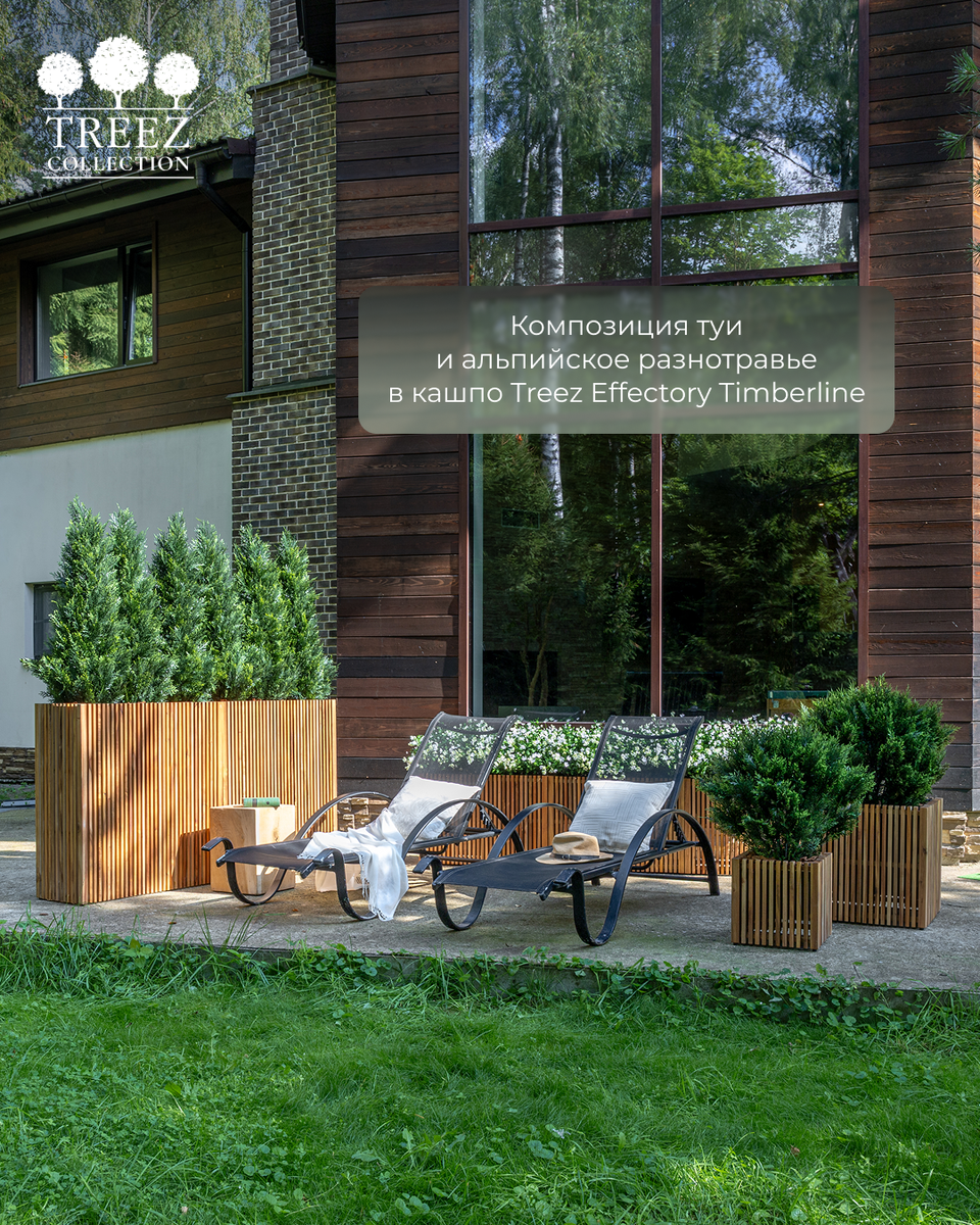 Кашпо и растения TREEZ Collection