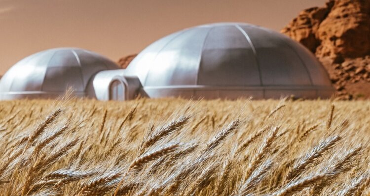    Фото: Медведева Анна, AgroXXI.ru