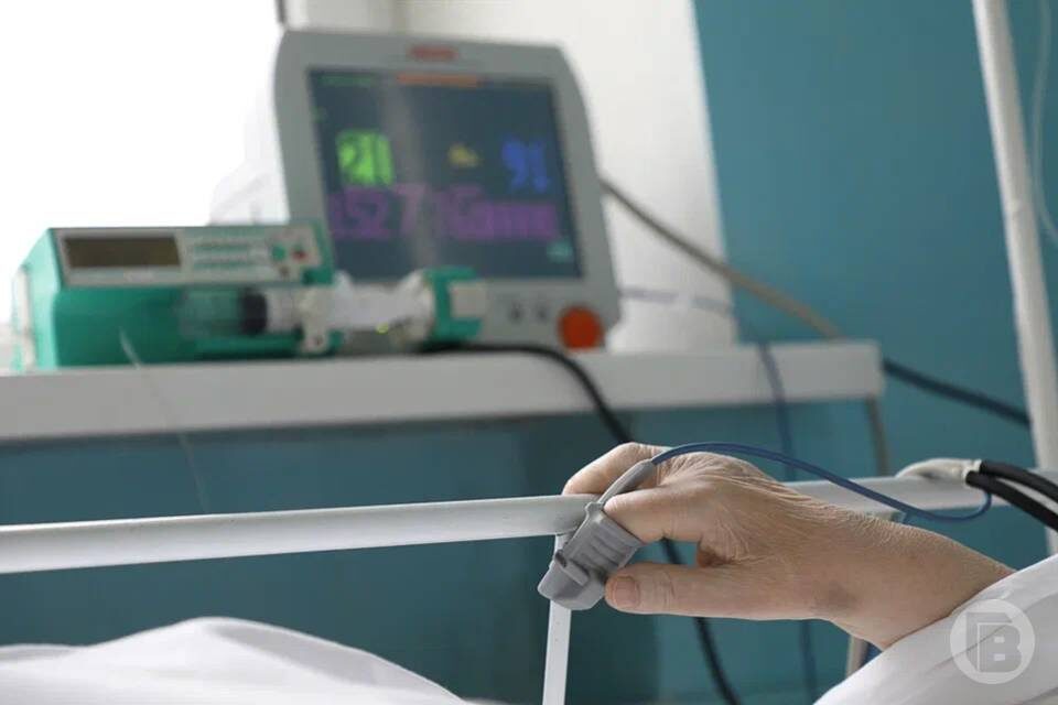    Фото: Дмитрий Рогулин / "Городские вести"