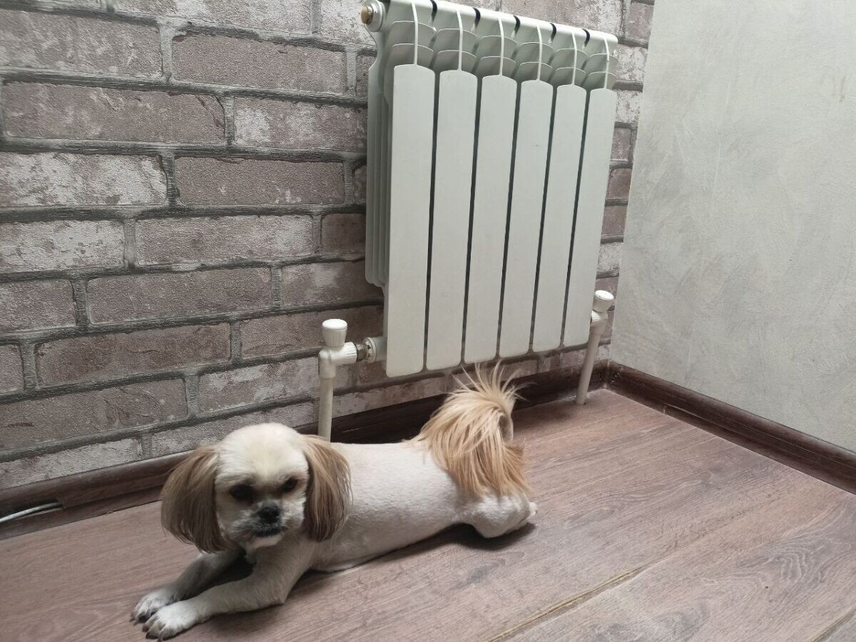     Источник: ДОМОСТРОЙДОН.РУ