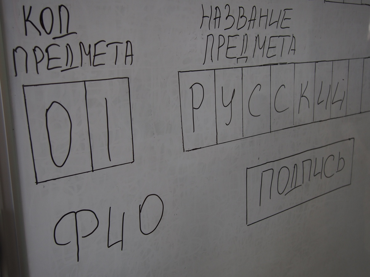    Родители петрозаводских выпускников смогут сдать ЕГЭ по русскому языку© Мария Голубева