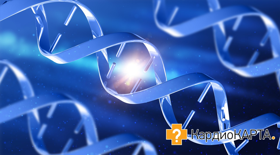 Сбой в матрице? Ген аритмии есть у каждого второго, и это не шутка генетиков