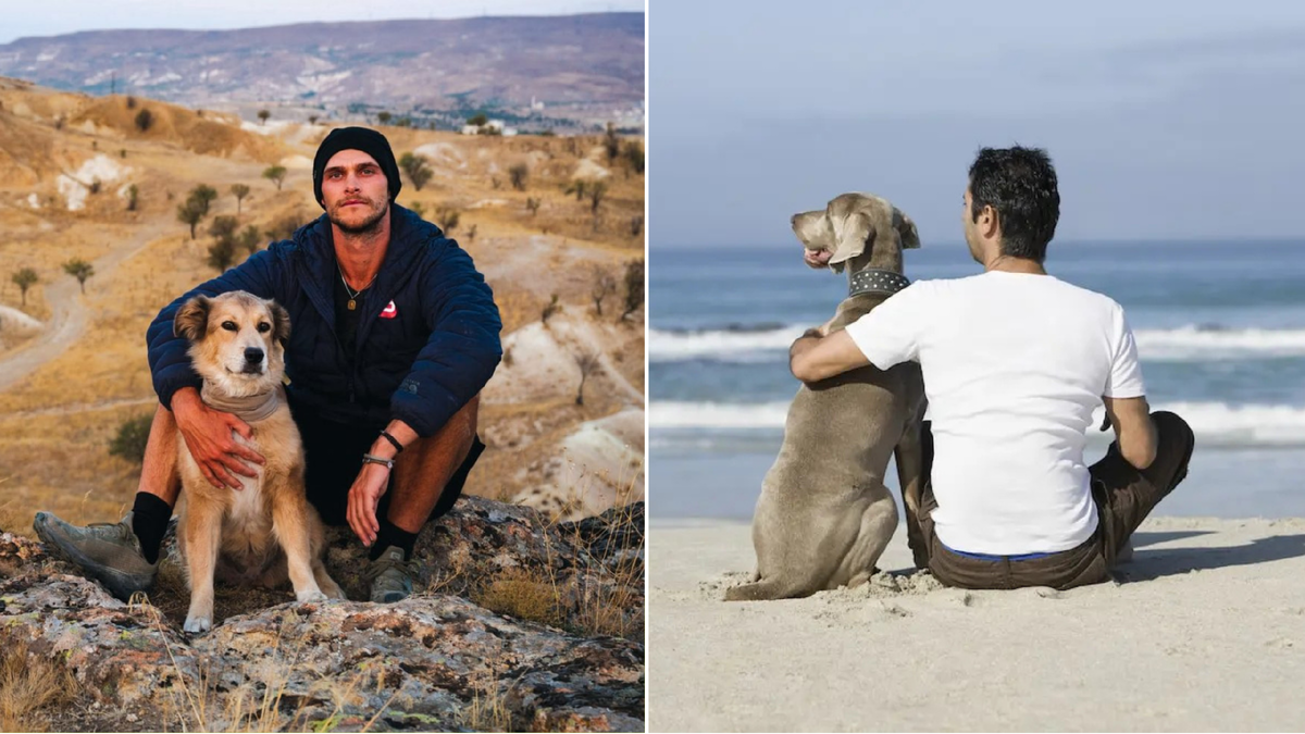 Собаки наши братья