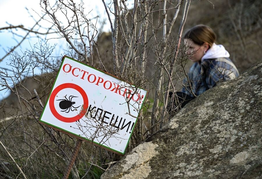     / Источник: (с) РИА Новости