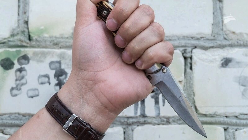      Фото: ИА «Победа26»