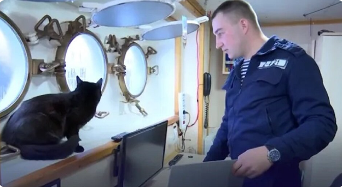 Десять лет она возвращается на корабль, хотя могла бы остаться на суше навсегда.Почему моряки не отпускают её на берег