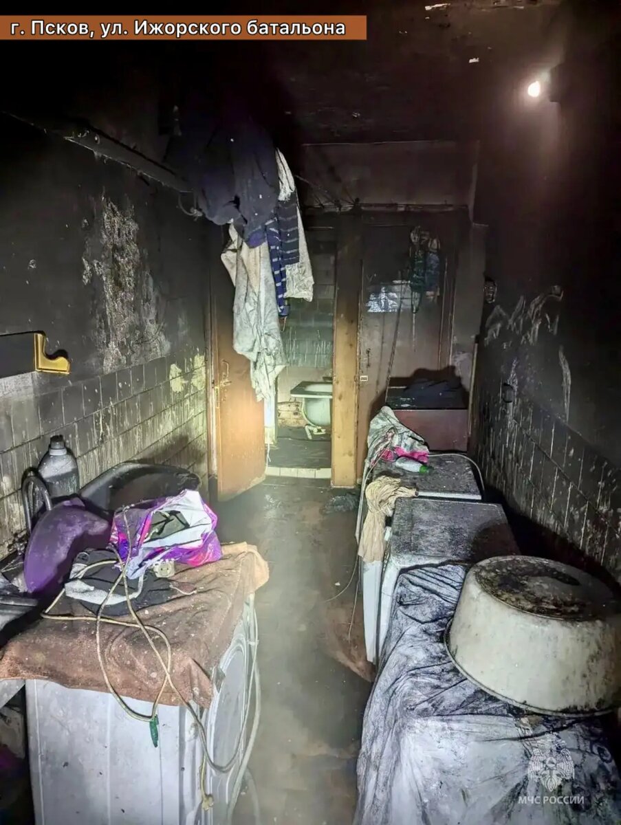 Фото из канала «МЧС Псковской области» в национальном мессенджере МАХ