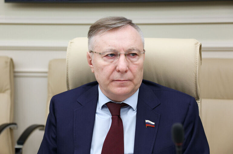   Денис Вышинский/Пресс-служба Совета Федерации