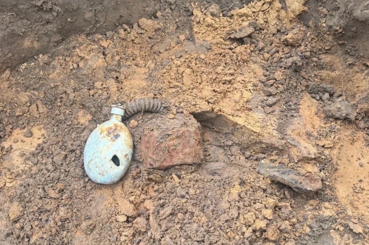    В Западнодвинском округе нашли останки двух бойцов РККА и медальон