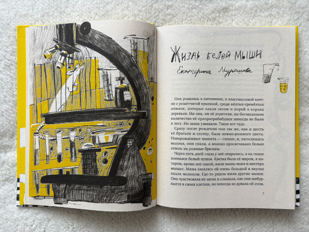 Кто у нас такой хороший? Сборник рассказов о животных (Самокат, 2026). Иллюстрации Юлии Кошелевой. 