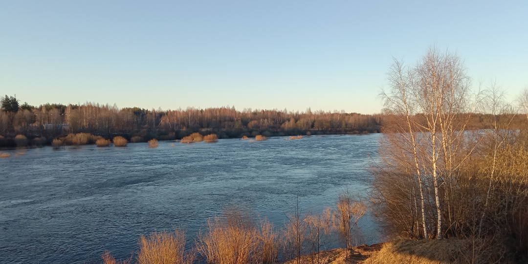 Река Молога, Вологодская область, апрель 2026 года...