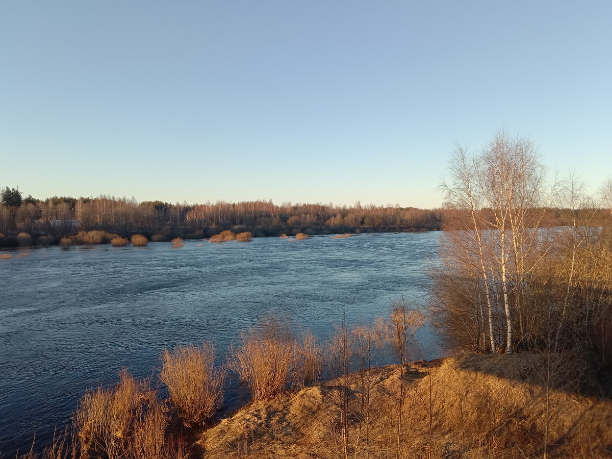 Река Молога, вид с моста в поселке имени Желябова.