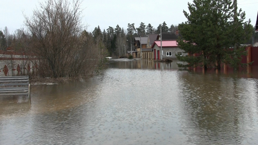    МВД Марий Эл
