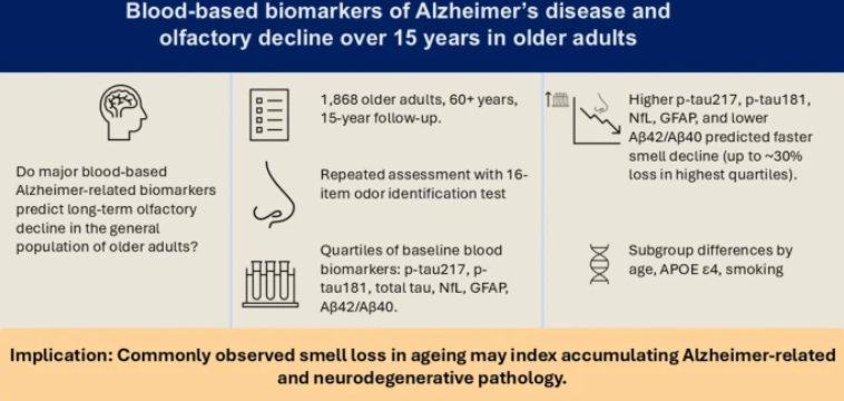Инфорграфика по теме. Источник: https://link.springer.com/article/10.1007/s11357-025-02038-1