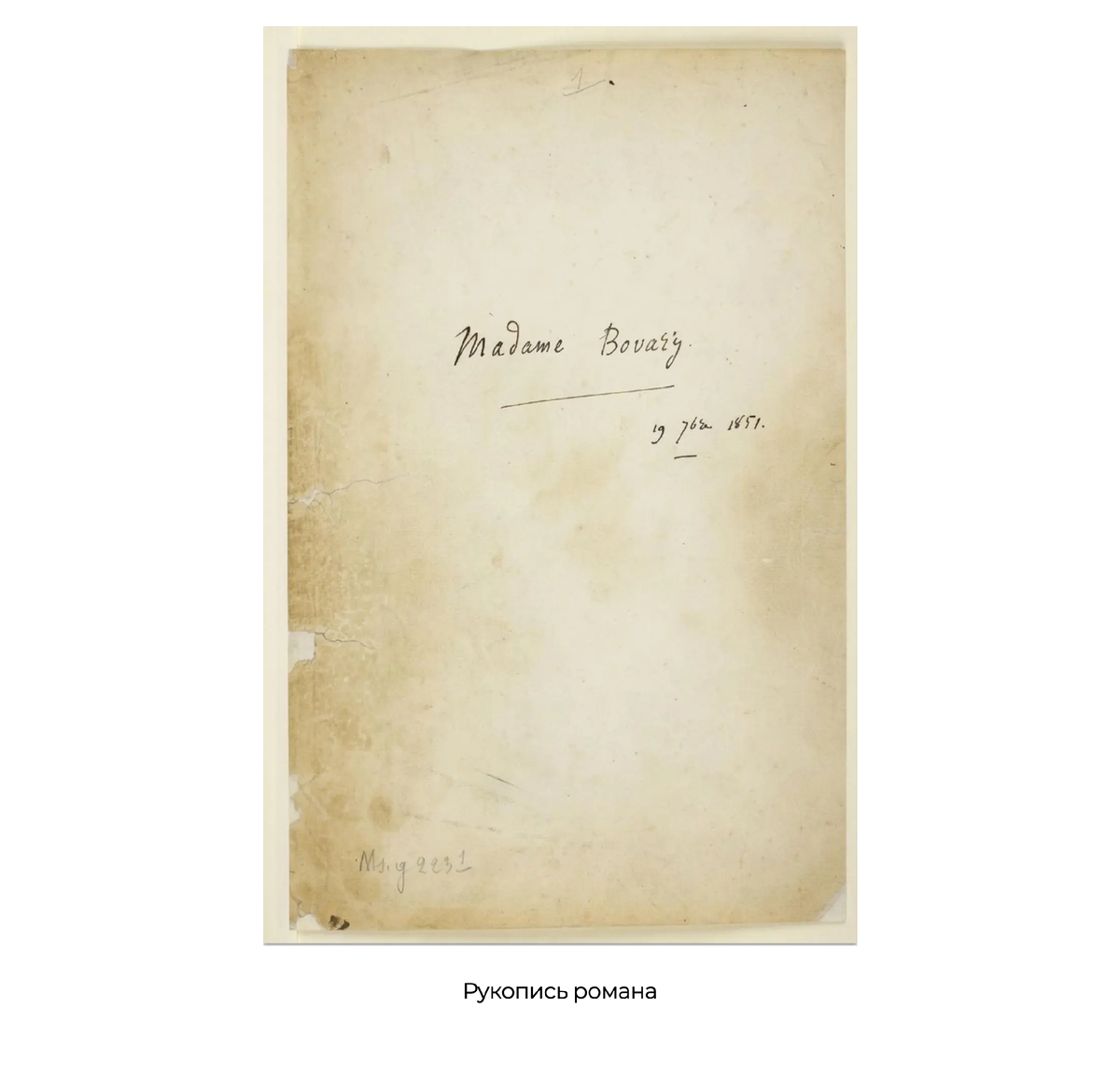 Источник фото: Gustav Flaubert 