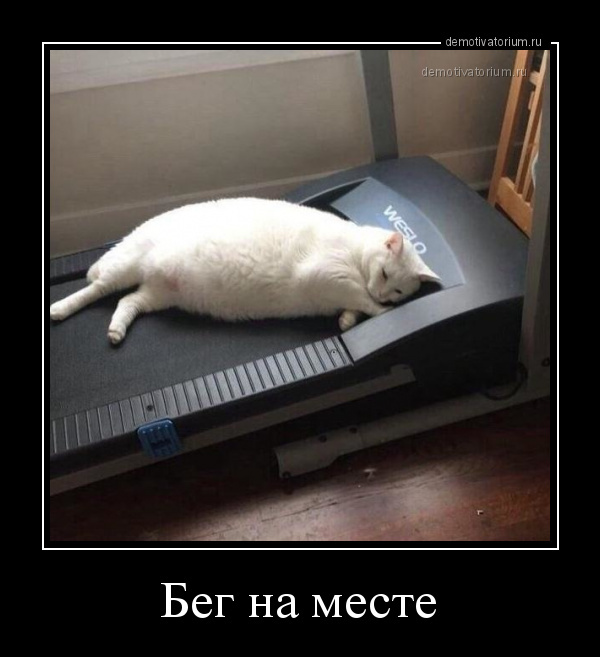 Талисман этой недели 