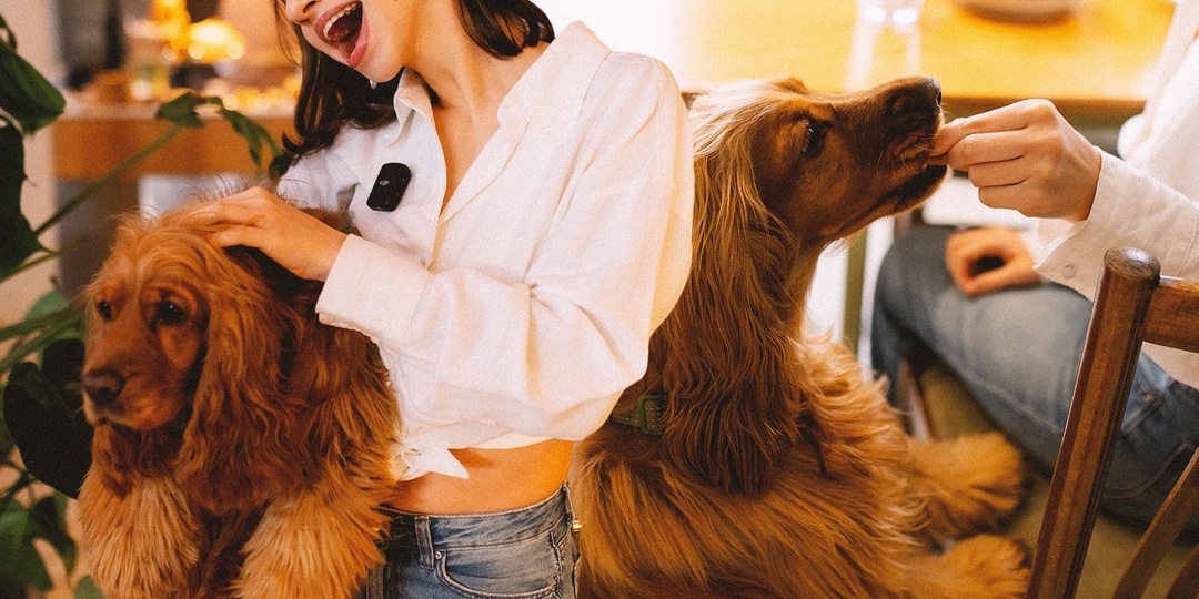 Гав-гид по Казани: заведения, куда можно прийти с собакой