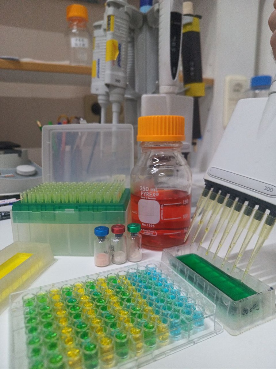 Учет результатов постановки экспериментов in vitro методом иммуноферментативного анализа 