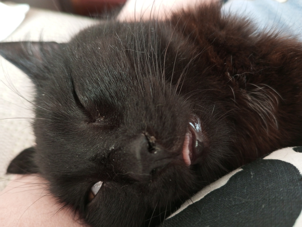 Глубокий сон Аси