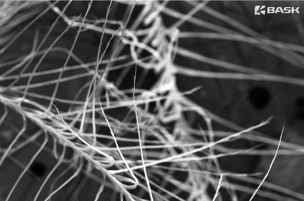 Ворсинки пуха белого гуся под микроскопом.