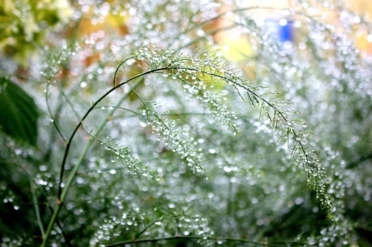    В Туле 14 апреля ожидаются сильный ветер и дождь