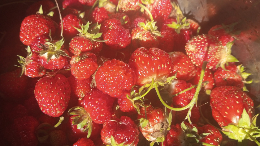    фото из архива редакции